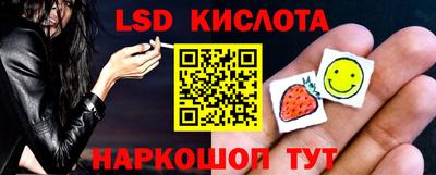 PSILOCYBIN Конаково