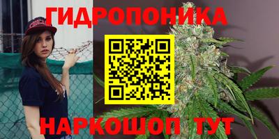 молекула духа Коммунар