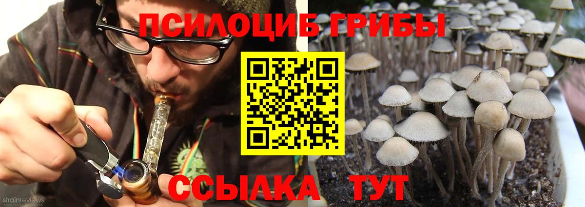 Псилоцибиновые грибы Magic Shrooms Когалым