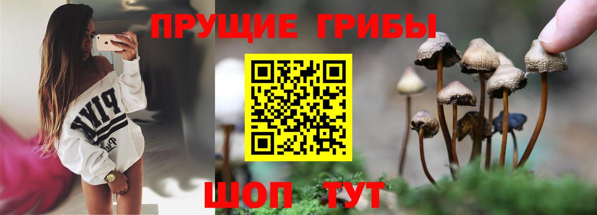 Когалым  Псилоцибиновые грибы Cubensis  Вход с VPN  Псилоцибиновые грибы Psilocybe 